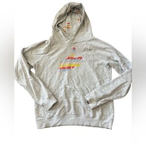 Nike Heather Gray Hoodie with Colorful Striped Logo